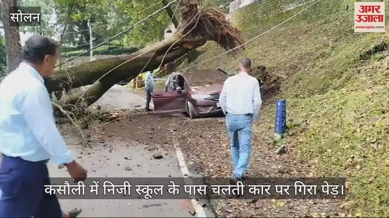 VIDEO : A tree fell on a moving car near a private school in Kasauli, power lines also damaged