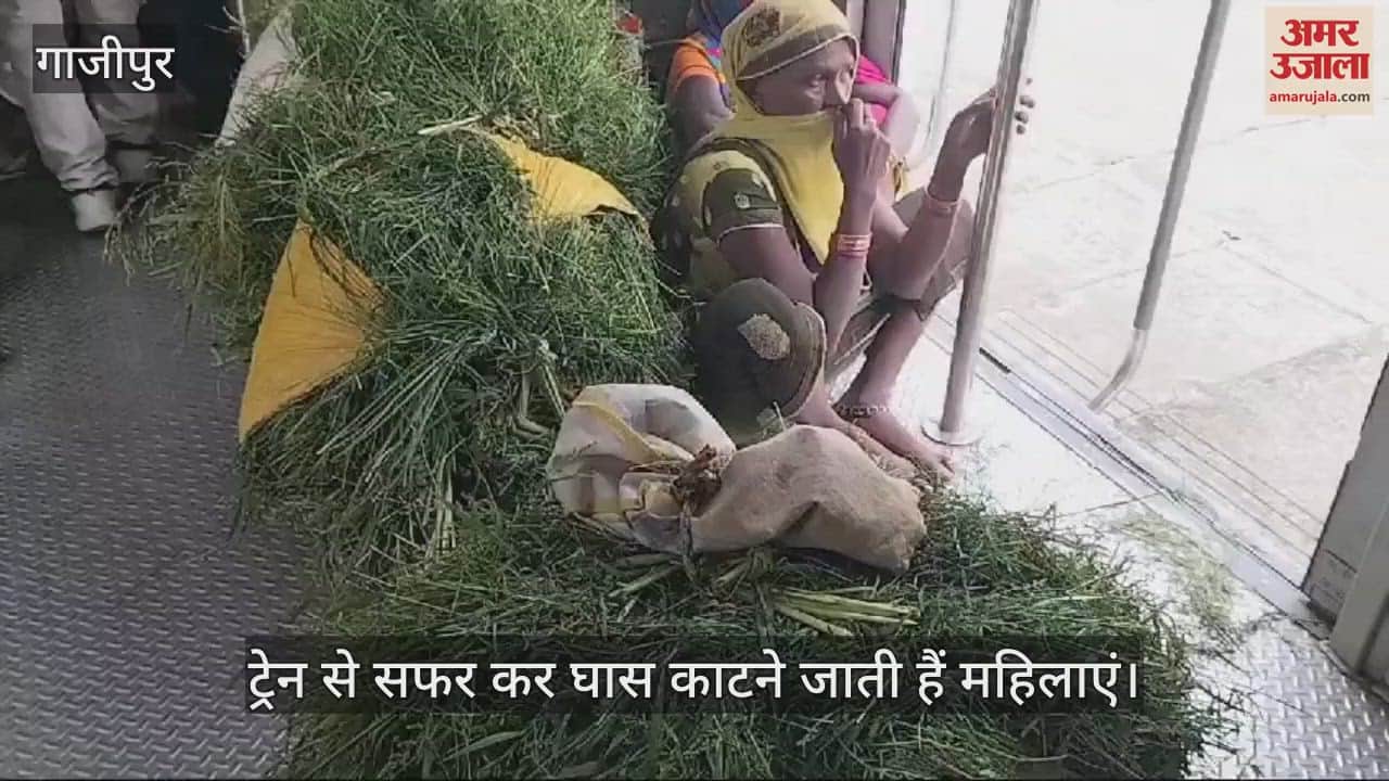 VIDEO : Women travel by train from Ghazipur to collect grass for animals