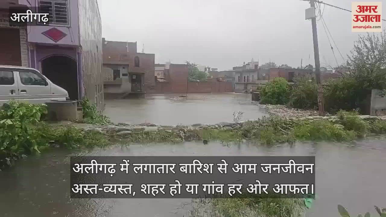 VIDEO : अलीगढ़ में लगातार बारिश से आम जनजीवन अस्त-व्यस्त, शहर हो या गांव हर ओर आफत
