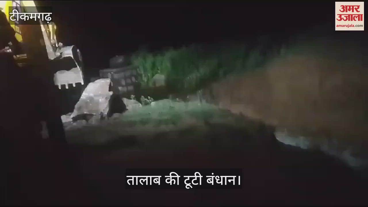 Tikamgarh News pond embankment broke and water entered the crops see video