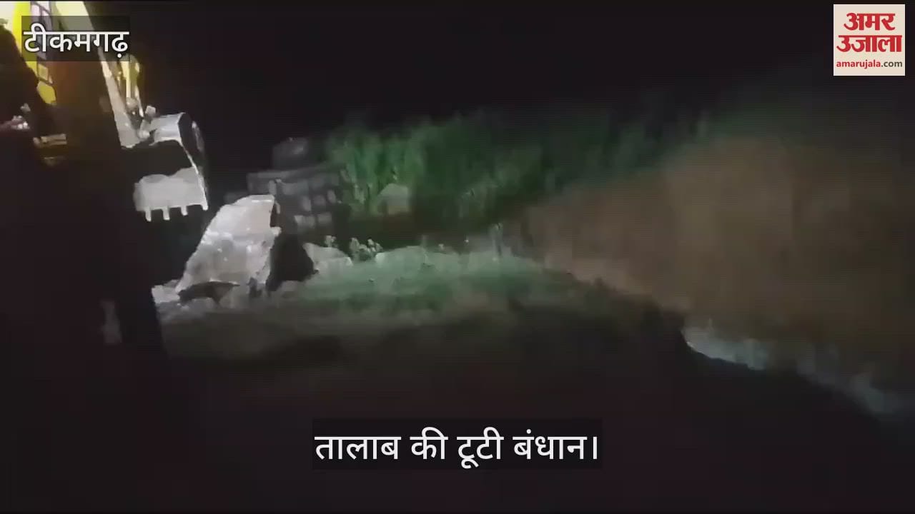 Tikamgarh News pond embankment broke and water entered the crops see video
