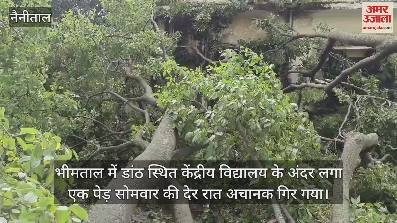 VIDEO : भीमताल में स्कूल के अंदर लगा एक पेड़ के गिरने से दो कारें क्षतिग्रस्त