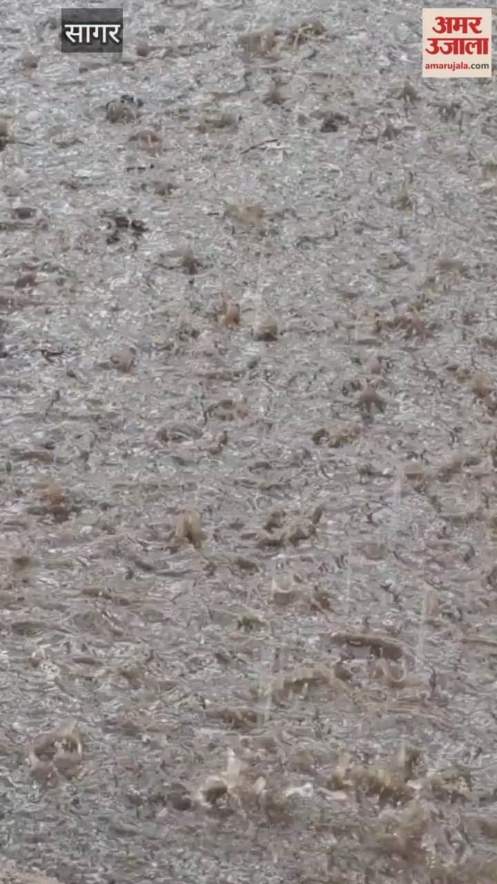 kind monsoon It rained four inches in 12 hours