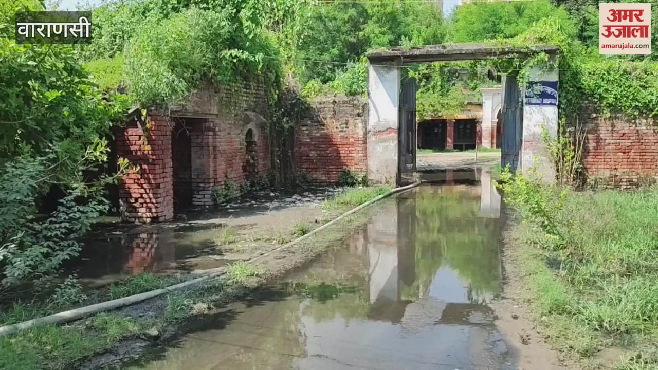 VIDEO : veterinary hospital of Ramnagar is sick Rain and sewer water filling causes problems