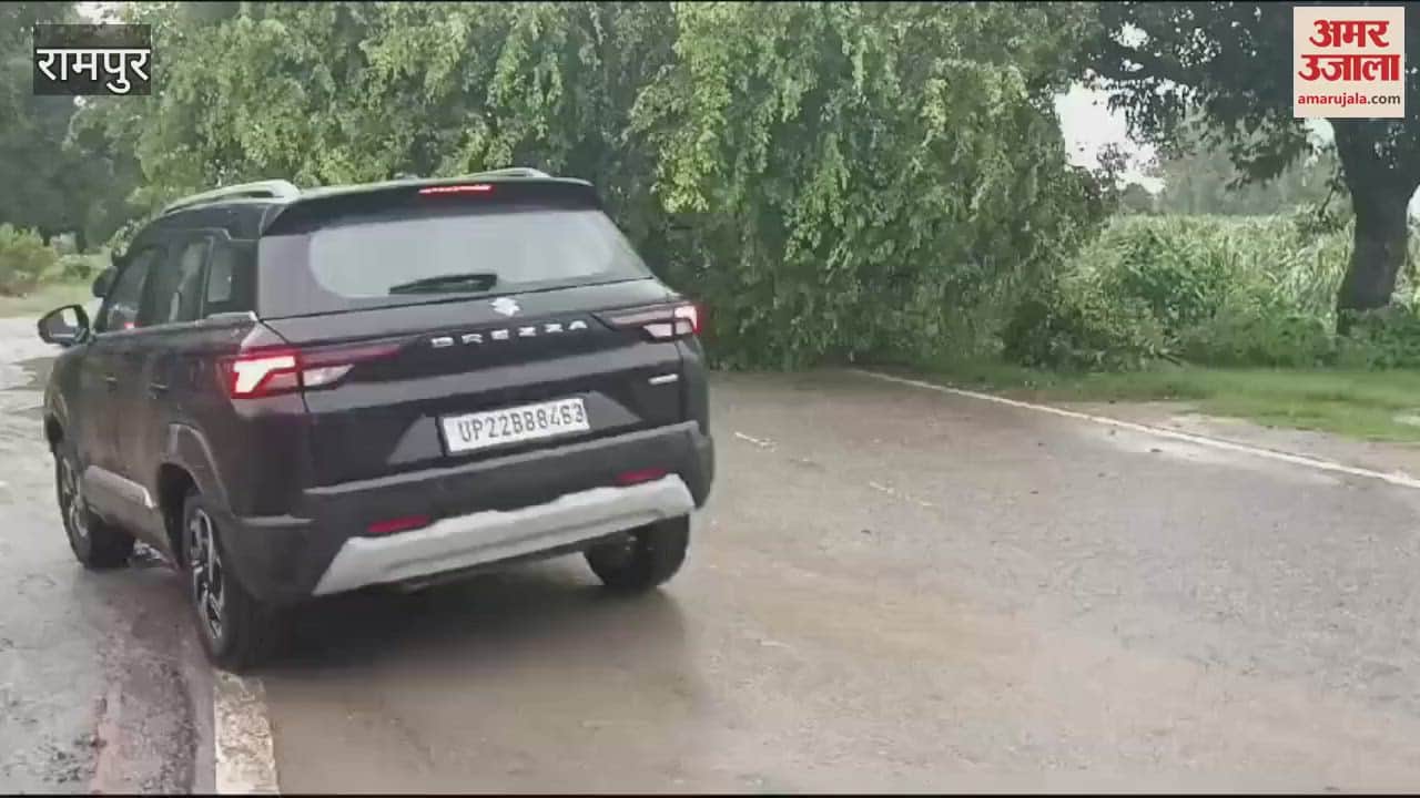 VIDEO : Electricity supply disrupted in many villages of Rampur, tree fell due to rain