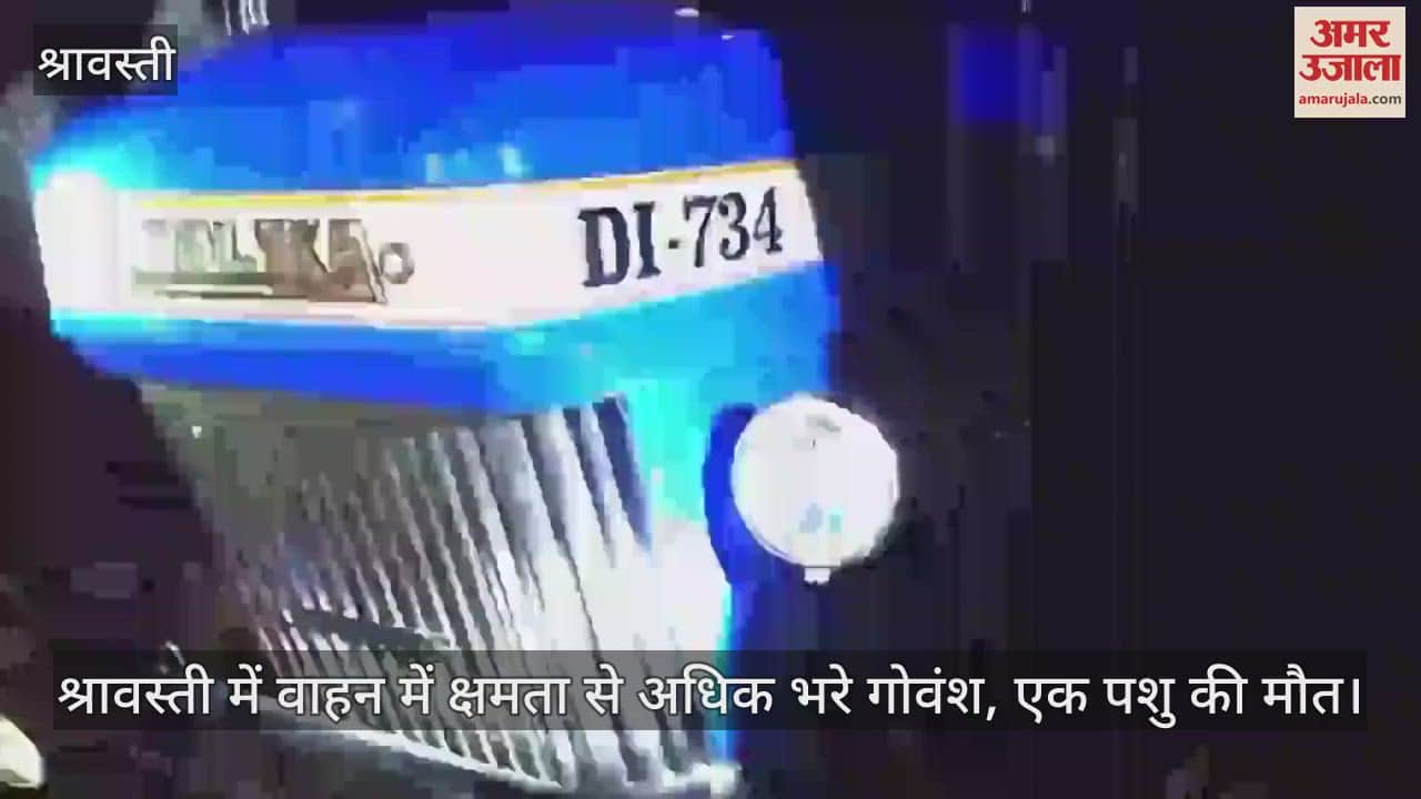 VIDEO : श्रावस्ती में वाहन में क्षमता से अधिक भरे गोवंश, एक पशु की मौत