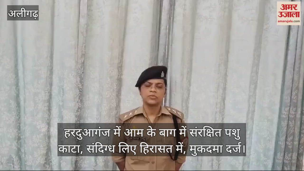 VIDEO : हरदुआगंज में आम के बाग में संरक्षित पशु काटा, संदिग्ध लिए हिरासत में, मुकदमा दर्ज