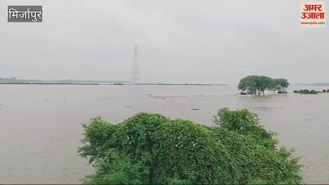 VIDEO : Flood water entered low-lying areas of Kachhwa migration started