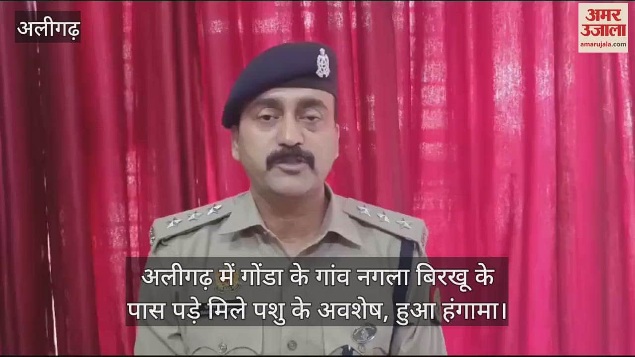 VIDEO : अलीगढ़ में गोंडा के गांव नगला बिरखू के पास पड़े मिले पशु के अवशेष, हुआ हंगामा