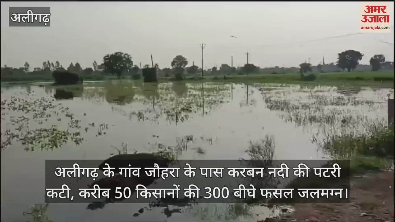 VIDEO : अलीगढ़ के गांव जौहरा के पास करबन नदी की पटरी कटी, करीब 50 किसानों की 300 बीघे फसल जलमग्न