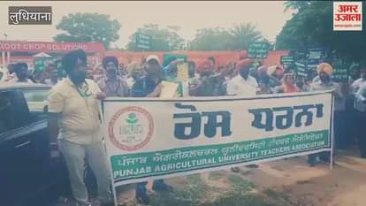 VIDEO : PAU Teachers Association demonstrated in Ludhiana