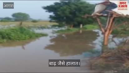 VIDEO : आगरा के पिनाहट में उफान पर उटंगन नदी, निचले इलाकों और खेतों में भर गया पानी...