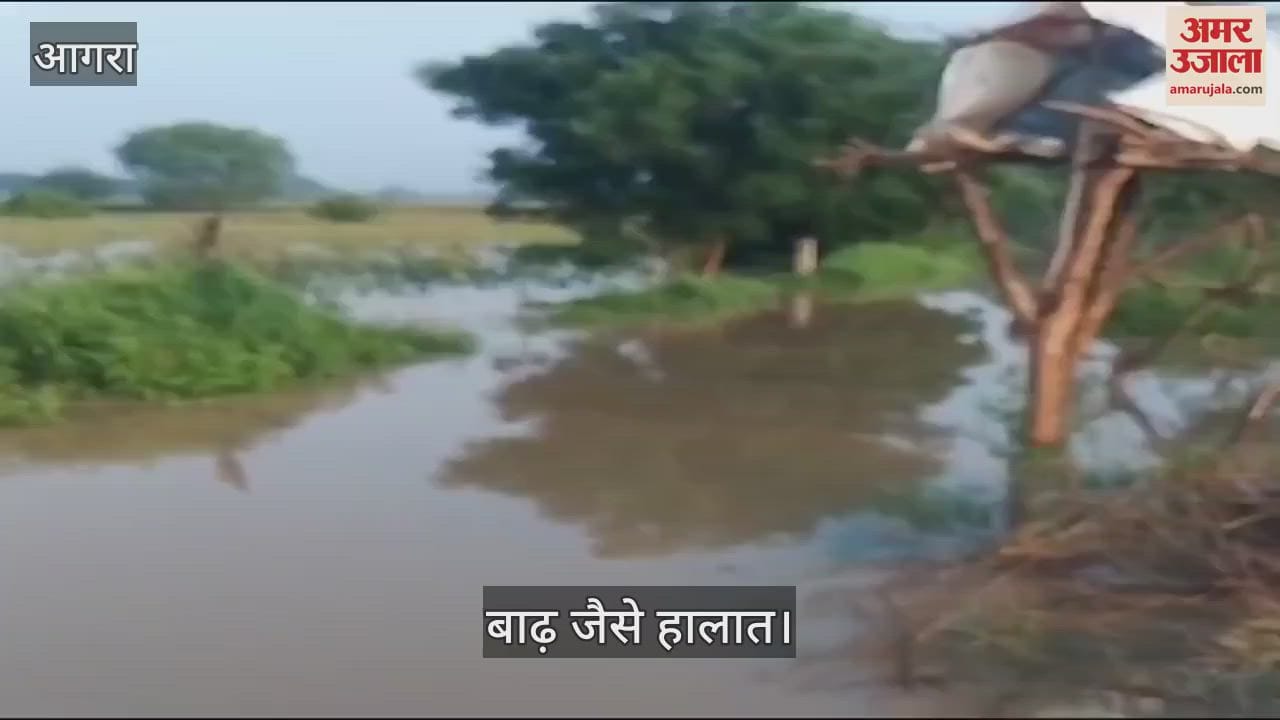 VIDEO : आगरा के पिनाहट में उफान पर उटंगन नदी, निचले इलाकों और खेतों में भर गया पानी...