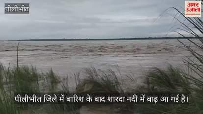 VIDEO : शारदा नदी की बाढ़ में फंसा ग्रामीण, नाविकों ने बचाई जान