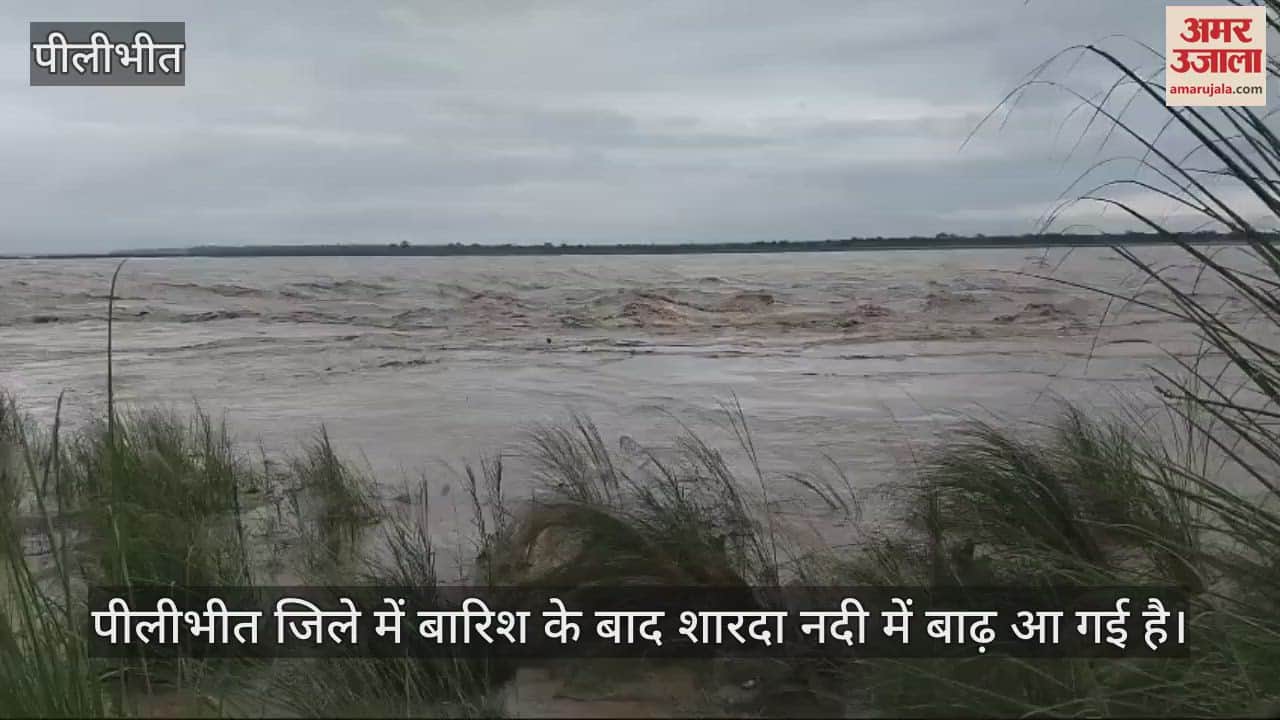 VIDEO : शारदा नदी की बाढ़ में फंसा ग्रामीण, नाविकों ने बचाई जान