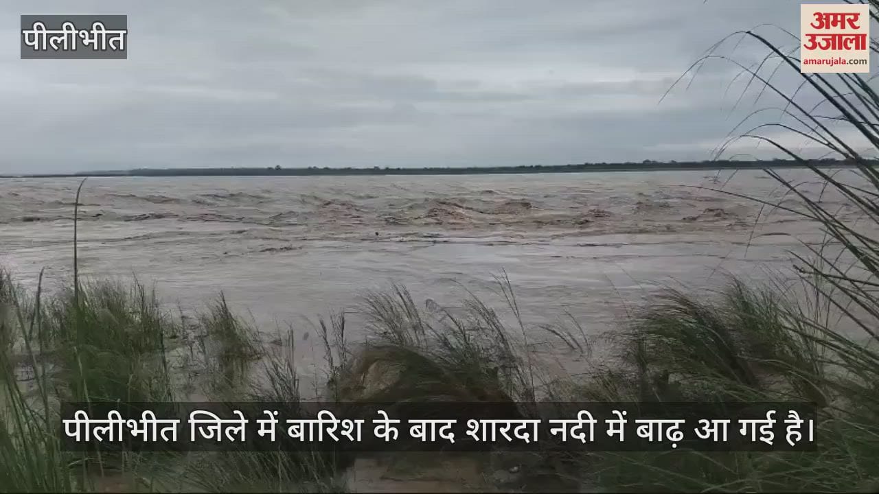 VIDEO : शारदा नदी की बाढ़ में फंसा ग्रामीण, नाविकों ने बचाई जान