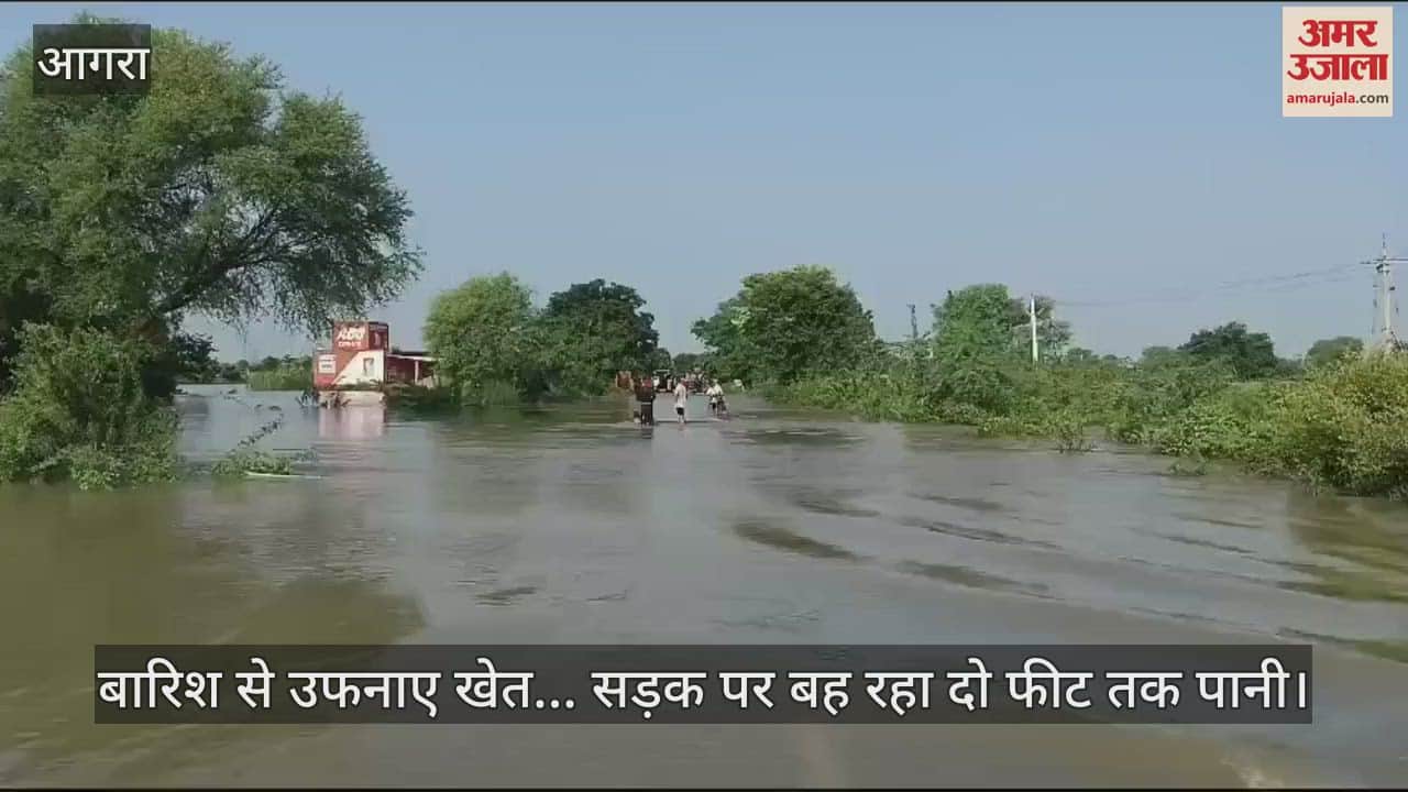 VIDEO : बारिश से उफनाए खेत... सड़क पर बह रहा दो फीट तक पानी, खतरे के बाद भी लोग निकलने को मजबूर