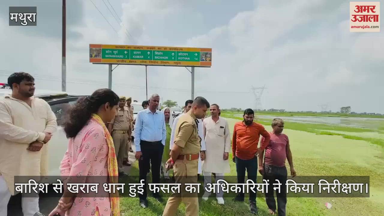 VIDEO : बारिश से खराब हुई धान की फसल, अधिकारियों ने किया निरीक्षण... दिया मुआवजे का अश्वासन
