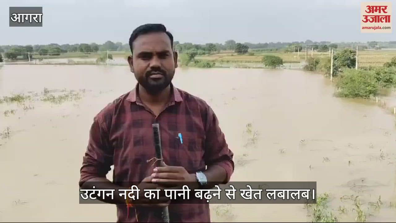 VIDEO : आगरा में दर्जनों गांव बाढ़ के खतरे से आंशकित, नदी का पानी बढ़ने से खेत लबालब