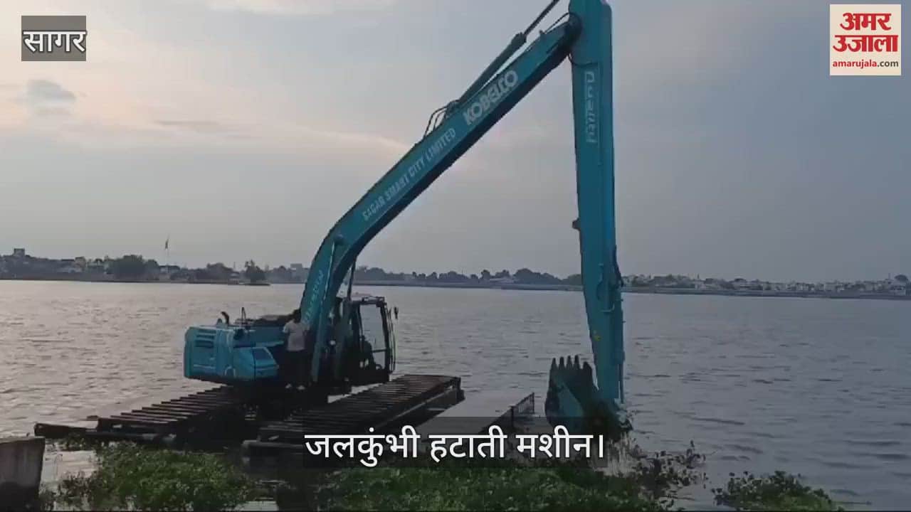 Sagar Lake filled with water hyacinth now needs machine support Municipal Corporation removing water hyacinth