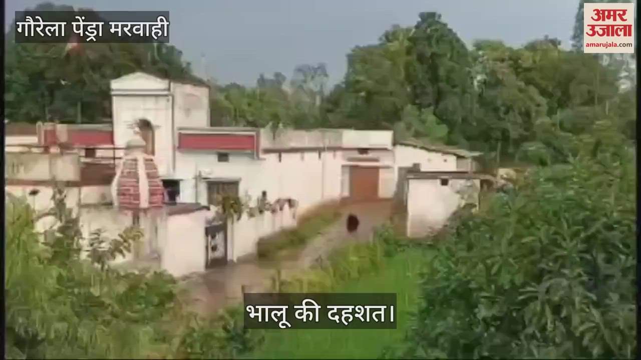 VIDEO : कोरजा गांव में भालू