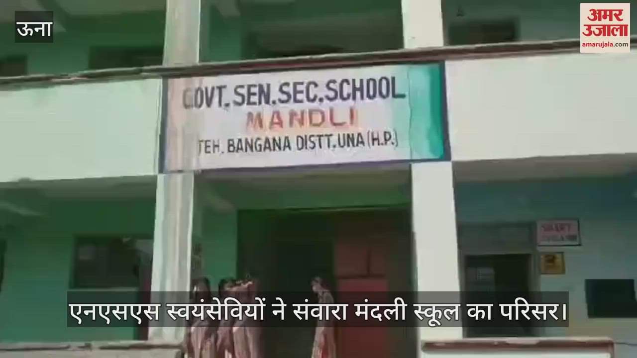 VIDEO : NSS volunteers beautified the campus of Mandli School