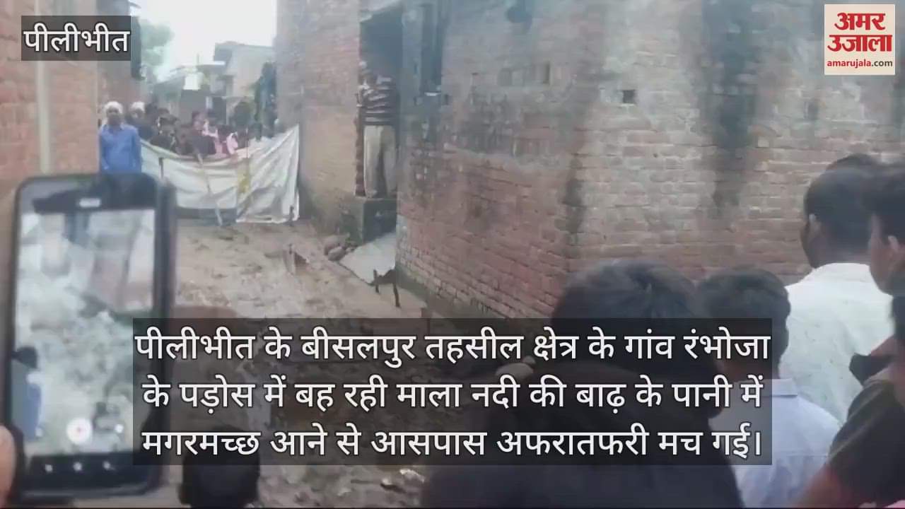 VIDEO : पीलीभीत में बाढ़ के पानी से निकल गांव में पहुंचा मगरमच्छ, मची अफरातफरी