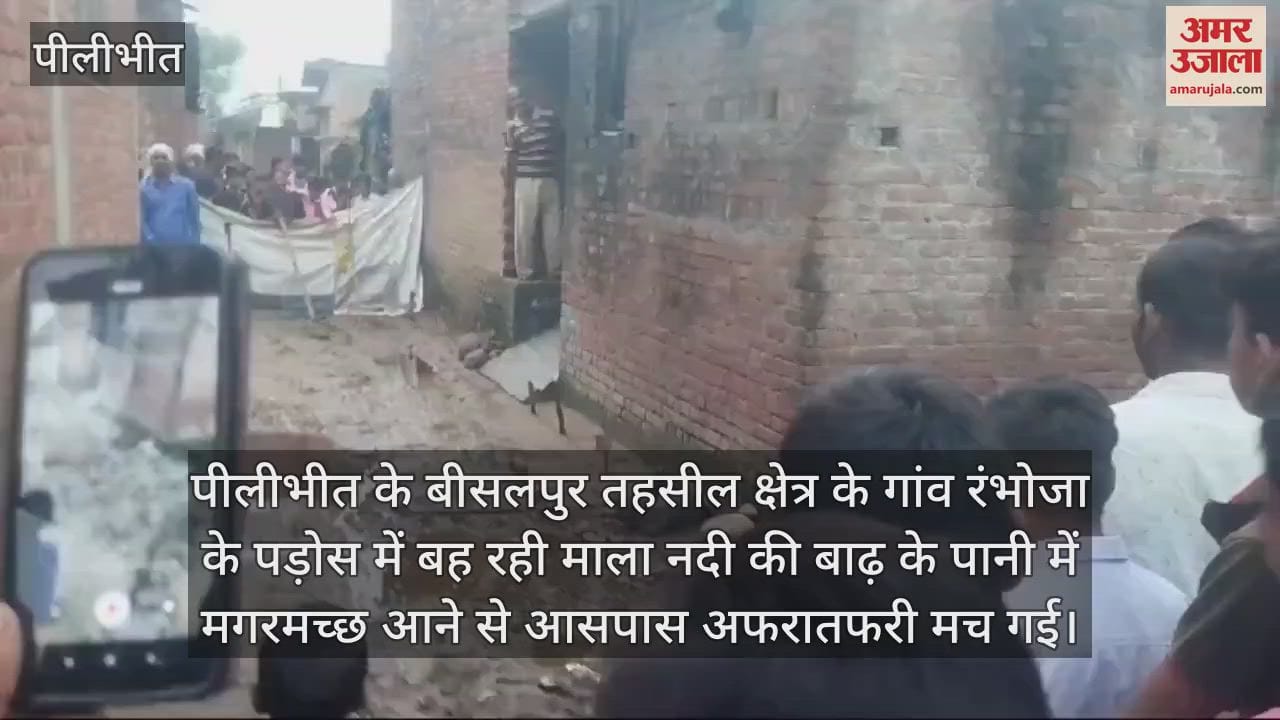 VIDEO : पीलीभीत में बाढ़ के पानी से निकल गांव में पहुंचा मगरमच्छ, मची अफरातफरी