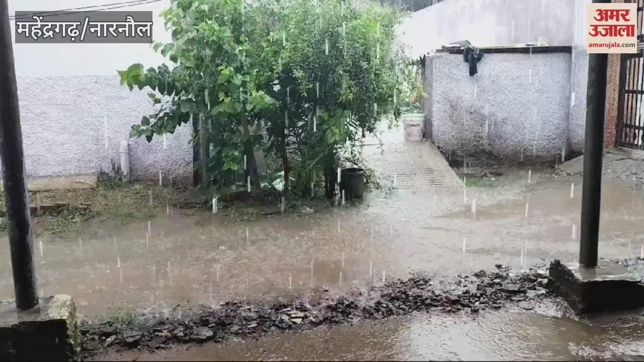 VIDEO : महेंद्रगढ़ में बारिश से किसानों पर मंडरा रहा संकट, फसलों पर बुरा असर