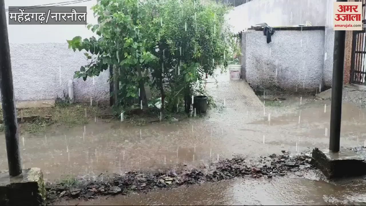 VIDEO : महेंद्रगढ़ में बारिश से किसानों पर मंडरा रहा संकट, फसलों पर बुरा असर