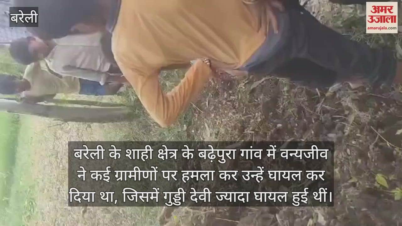 VIDEO : बरेली जिले में भेड़िये का खौफ, पगचिन्ह देख वनकर्मी बोले- सियार होगा