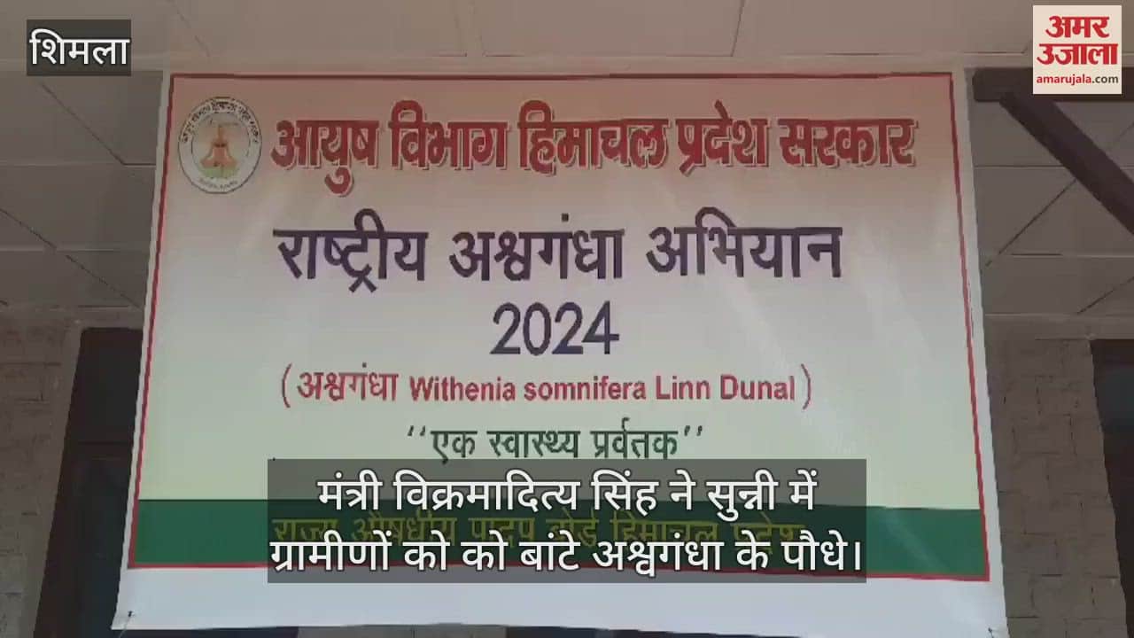 VIDEO : Minister Vikramaditya Singh distributed Ashwagandha plants to the villagers in Sunni