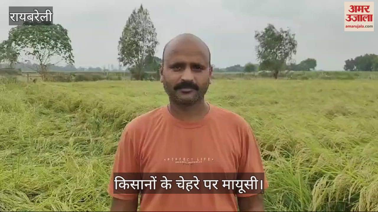VIDEO : रायबरेली: बेमौसम बारिश से फसलों को नुकसान, किसानों के चेहरे पर मायूसी