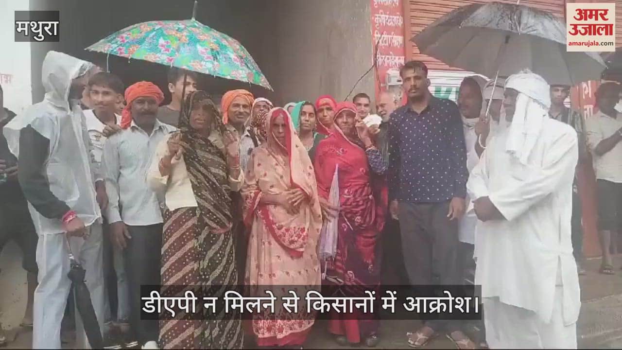 VIDEO : राया में कृभको केंद्र पर डीएपी न मिलने से किसानों में आक्रोश