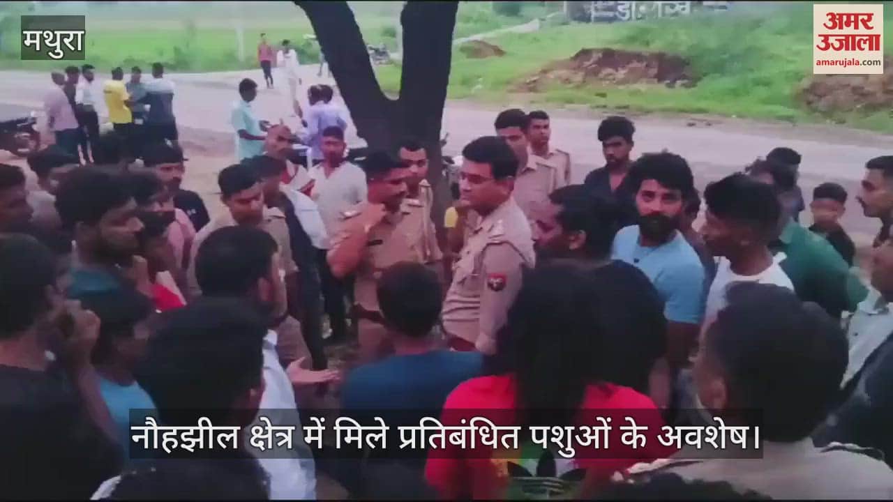 VIDEO : नौहझील क्षेत्र में मिले प्रतिबंधित पशुओं के अवशेष,  पुलिस ने गड्ढा खुदवाकर दबवाया