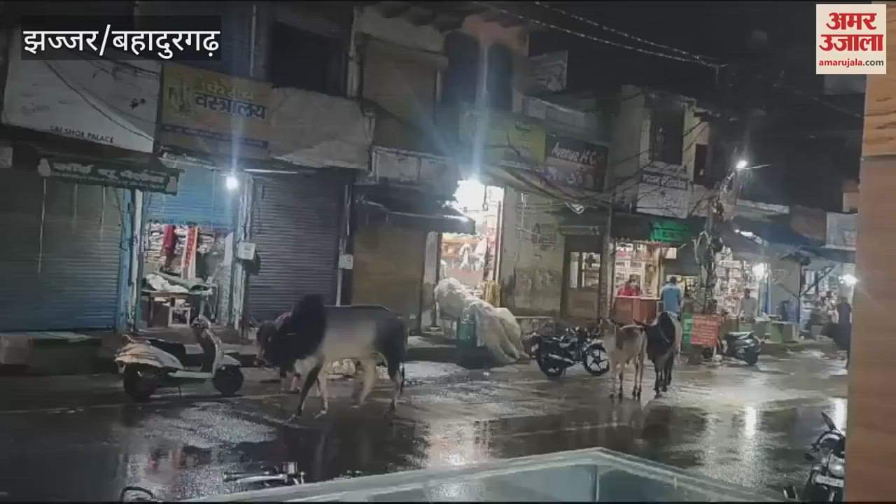VIDEO : Haryana: Pleasant weather due to morning and evening drizzle