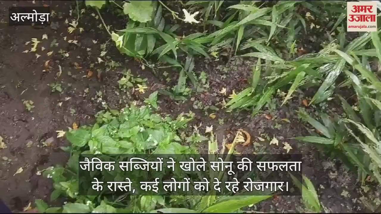 VIDEO : जैविक सब्जियों ने खोले सोनू की सफलता के रास्ते, कई लोगों को दे रहे रोजगार