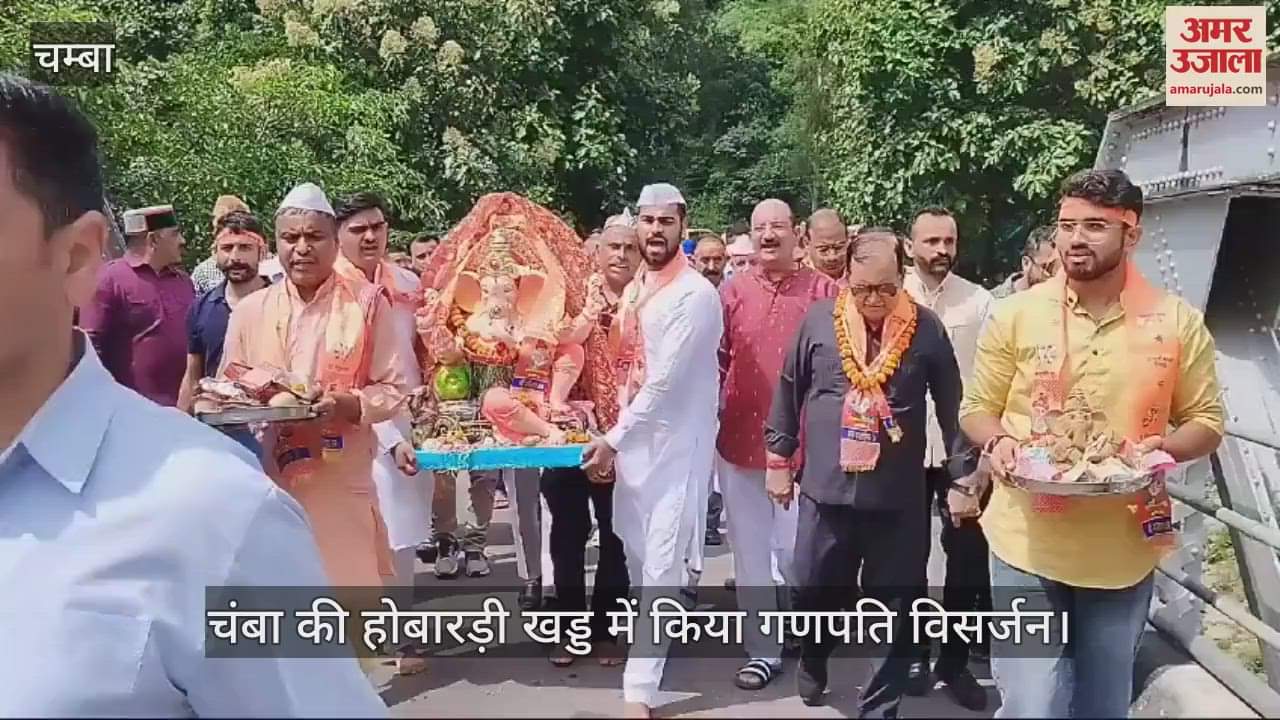 VIDEO : Ganpati immersion was done in the Hobardi ravine of Chamba