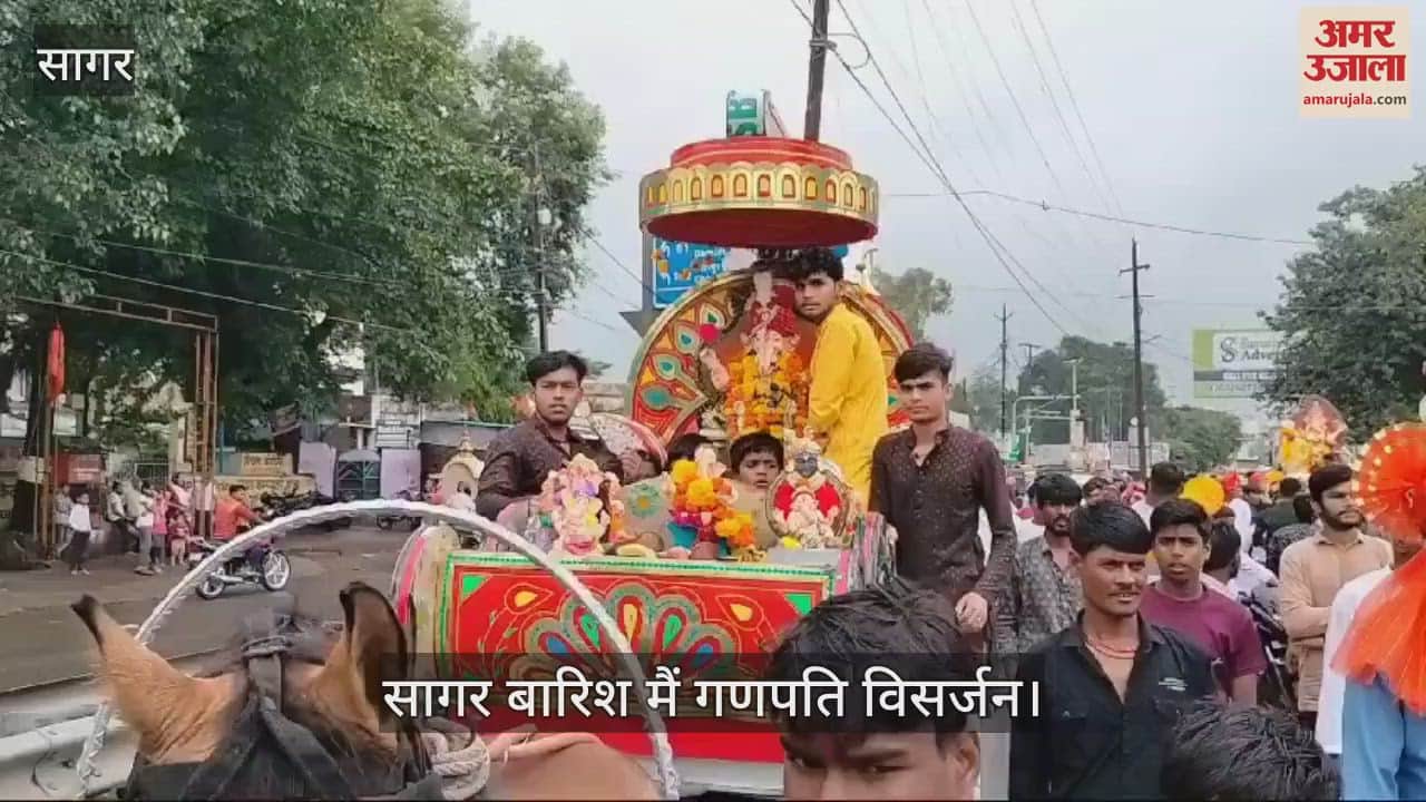 Sagar News Ganpati Bappa farewell started in rain since morning watch video
