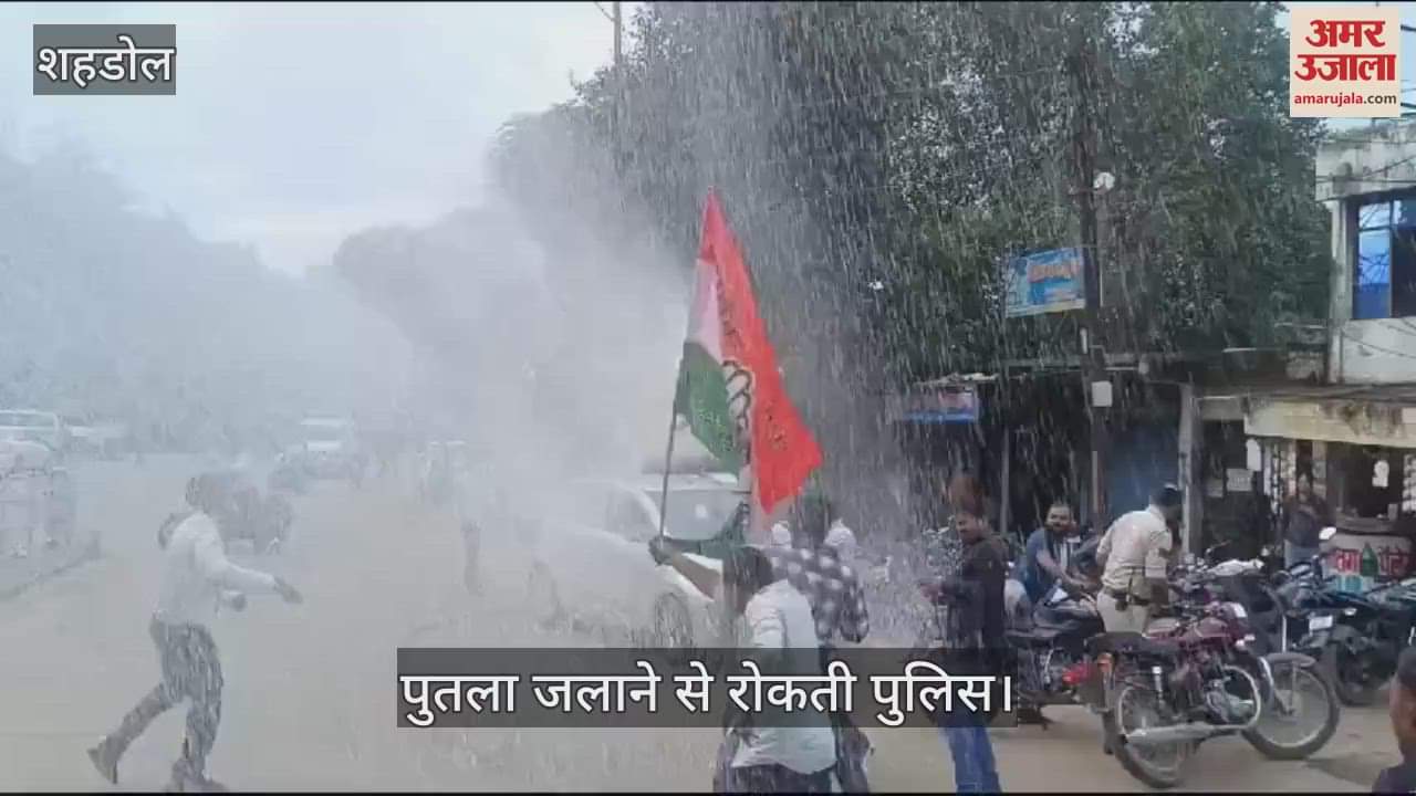 Frustrated BJP members are making indecent remarks against Rahul Gandhi