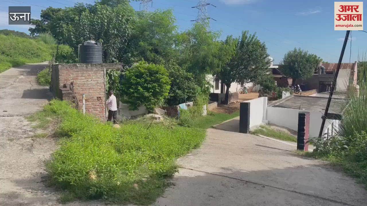 VIDEO : Panic of leopard in village Nikku Nangal people demanded to install cage