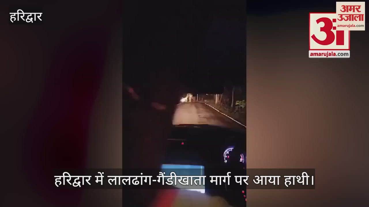 VIDEO : Elephant came on Laldhang-Gaindikhata road in Haridwar Youth Fell in pit With Car