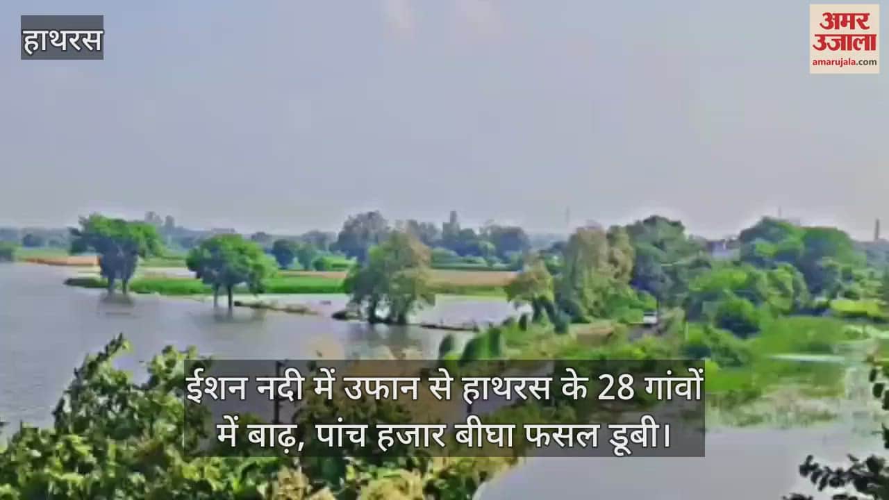VIDEO : ईशन नदी में उफान से हाथरस के 28 गांवों में बाढ़, पांच हजार बीघा फसल डूबी