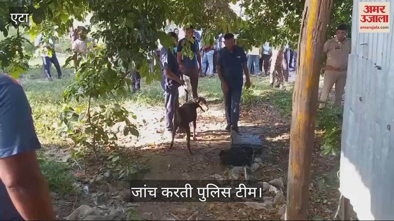 VIDEO : मुंह में ठूंसा कपड़ा...पेड़ पर ऐसे हाल में लटकी मिली राशन ठेकेदार की लाश, देखकर कांप गए घरवाले
