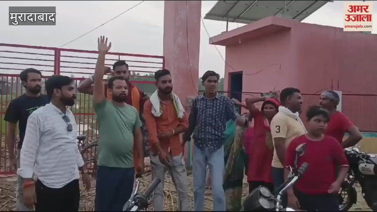VIDEO : Four animals died in Thakurdwara's Gaushala, Hindu organizations protested