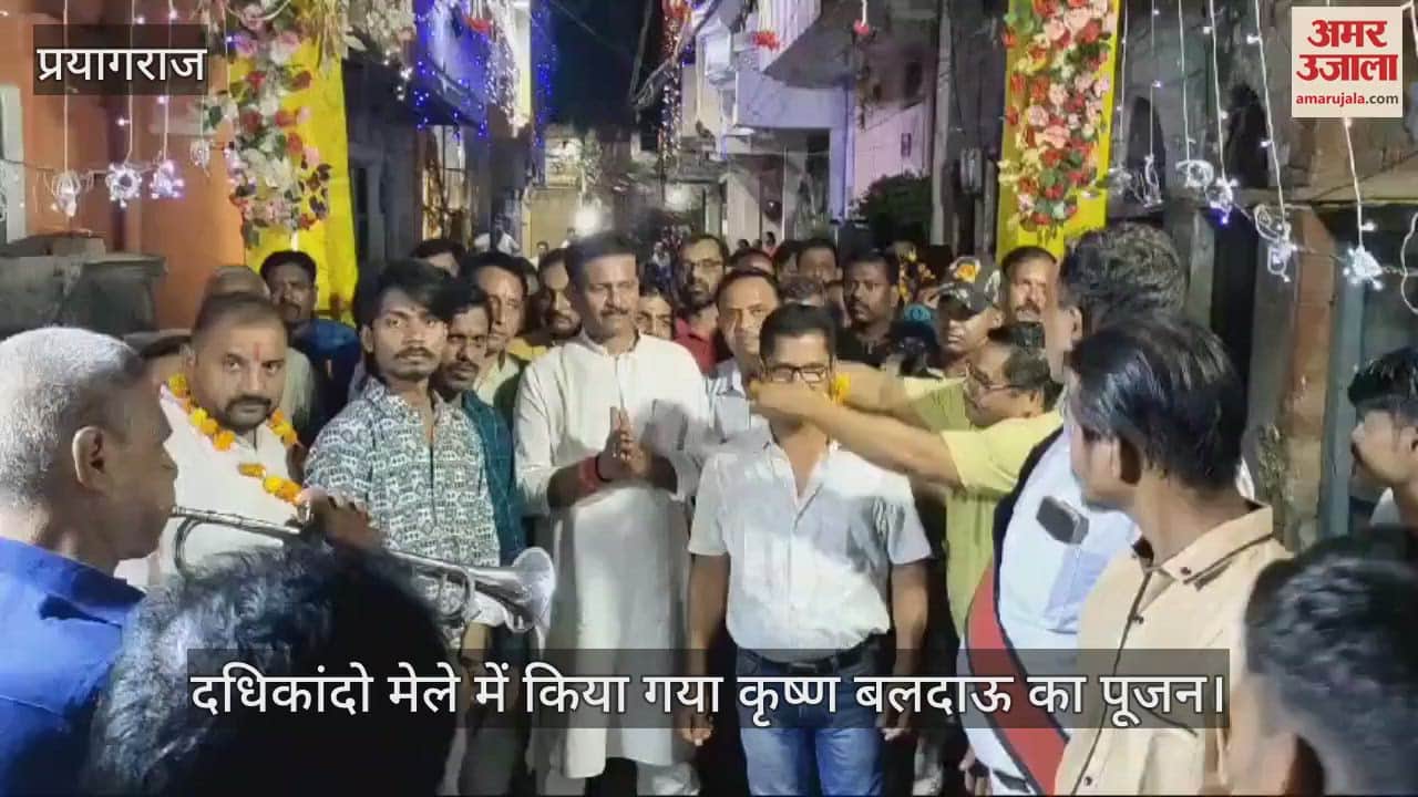 VIDEO : There were cheers for Krishna and Baldau in Dadhikando fair, devotees were eager for darshan.
