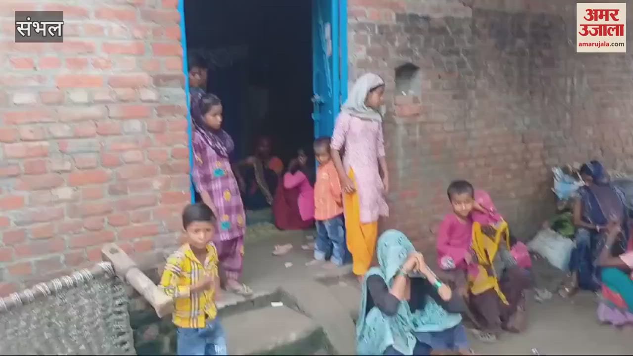VIDEO : wall of the cattle shed collapsed due to rain in Sambhal, a couple died after being buried under the rubble