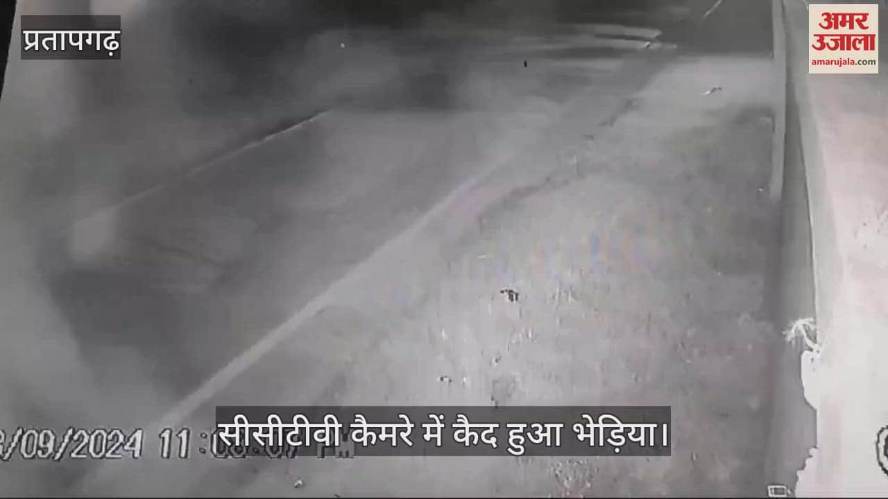 VIDEO : Wolf like animal seen in Ramganj, captured in CCTV camera, villagers in panic