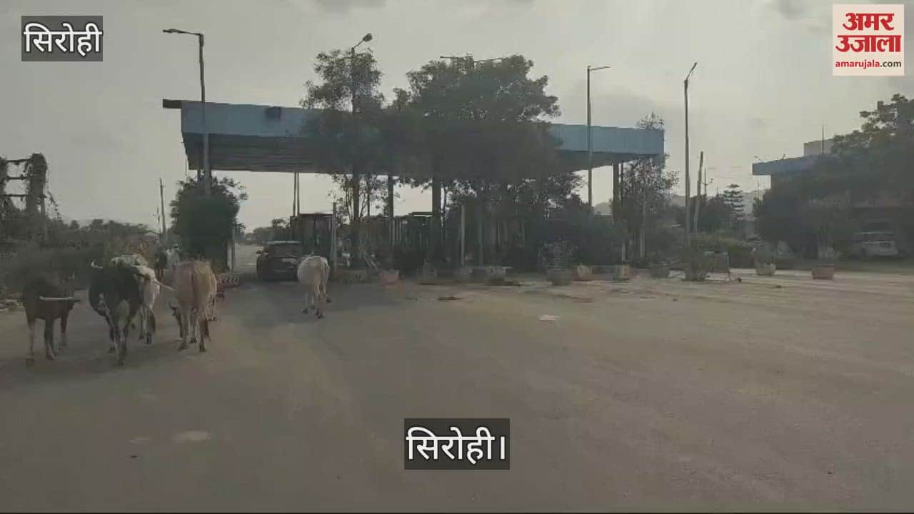 Sirohi News: Mandar Highway of Sirohi district became toll free