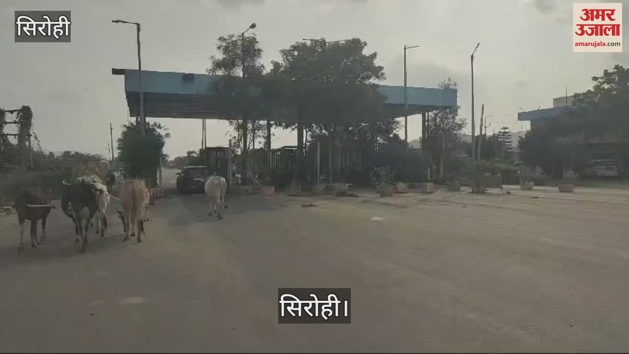 Sirohi News: Mandar Highway of Sirohi district became toll free